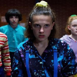 Meet your Posher, Rose